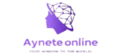 aynetenew_guadie